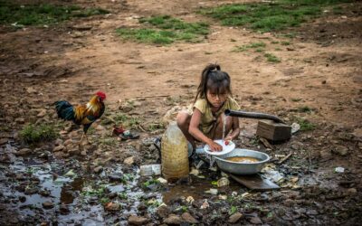 Desigualdade estrutural e heranças coloniais: por que o passado ainda molda o presente
