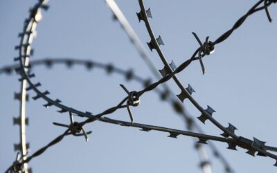 Fronteiras cada vez mais fechadas: segurança ou violação de direitos?