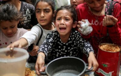 Dia Mundial da Alimentação: a fome não é falta de comida, é falta de acesso